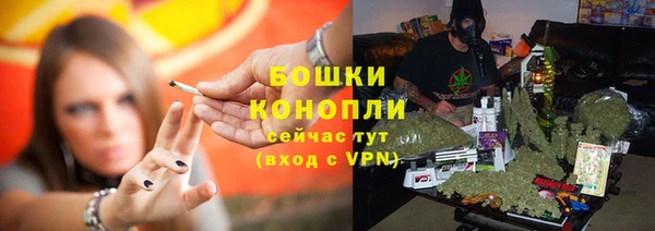ГАЛЛЮЦИНОГЕННЫЕ ГРИБЫ Аркадак