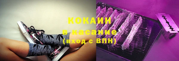 индика Балахна
