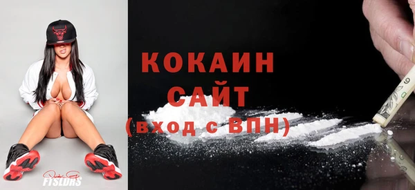индика Балахна