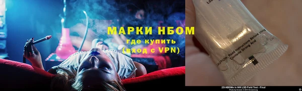 индика Балахна