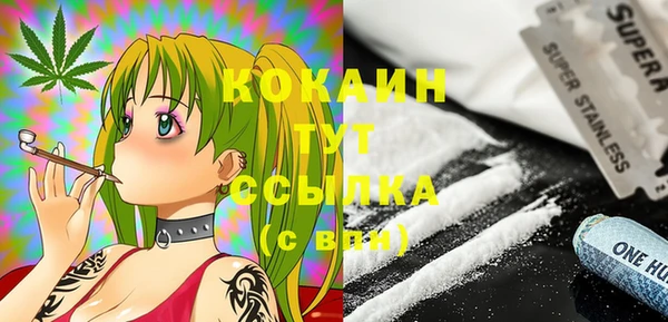 индика Балахна