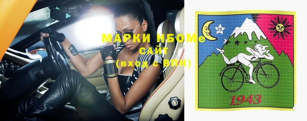 индика Балахна