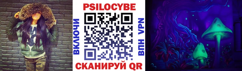 Купить  Грязи  Псилоцибиновые грибы Psilocybe 